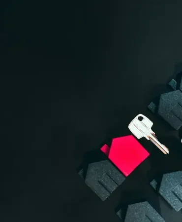 e-Devlet'e İki Yeni Özellik Eklendi