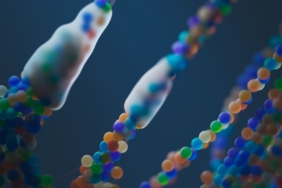 DNA'nın evrimi: Teksas A&M Üniversitesi'nden yeni bulgular