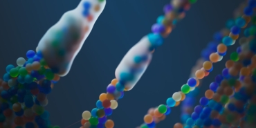 DNA'nın evrimi: Teksas A&M Üniversitesi'nden yeni bulgular