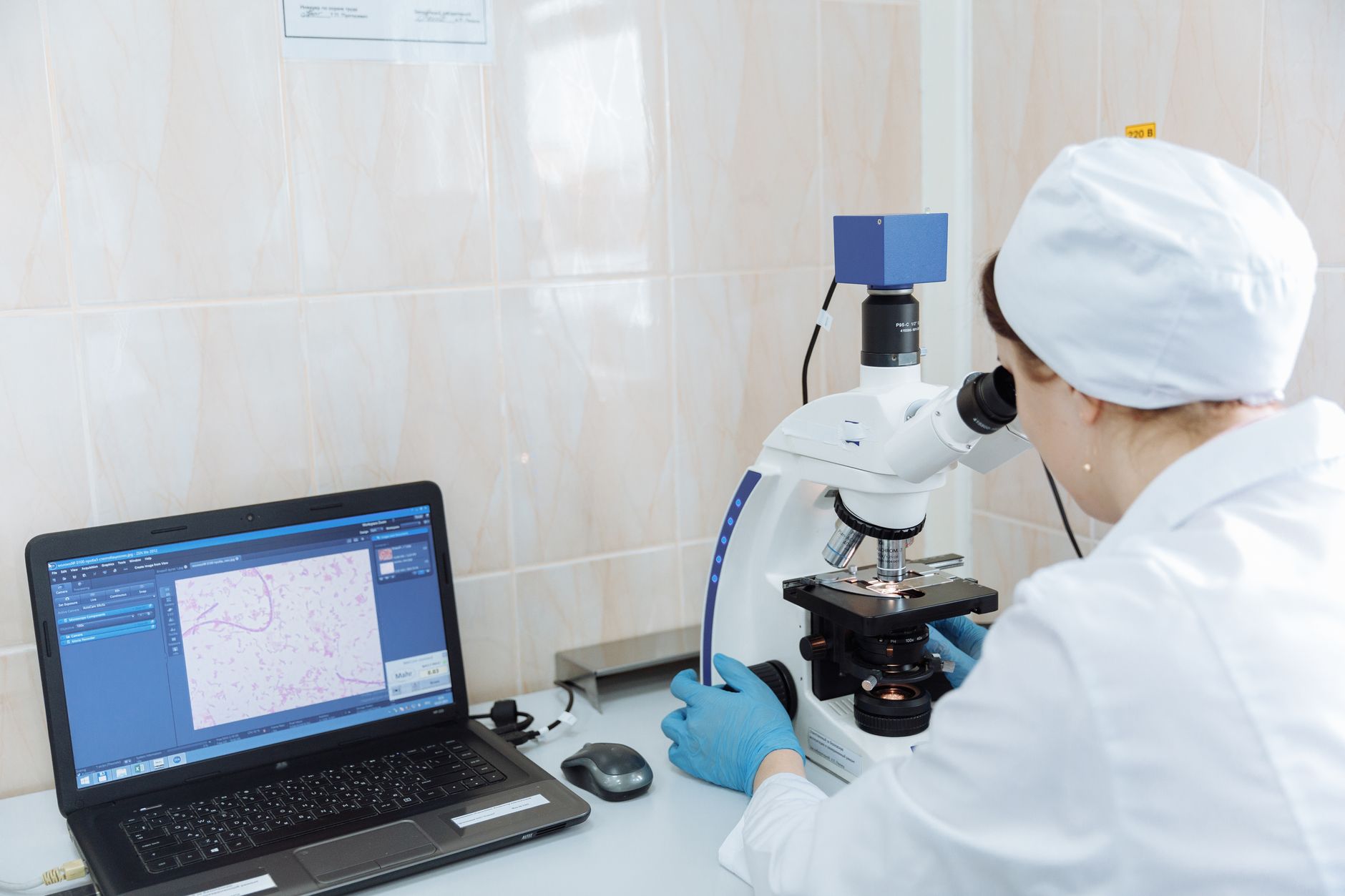 Beyindeki İnhibitör Sinapslarda Gephyrin'in Etkisi Araştırıldı